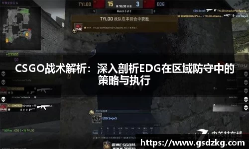 CSGO战术解析：深入剖析EDG在区域防守中的策略与执行