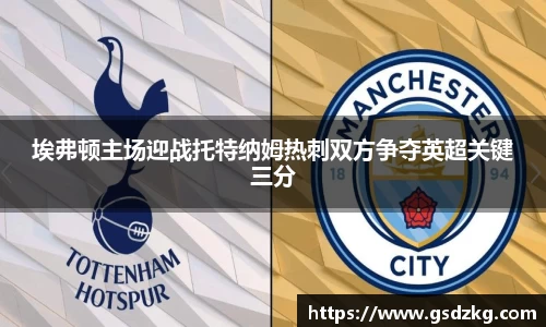 埃弗顿主场迎战托特纳姆热刺双方争夺英超关键三分